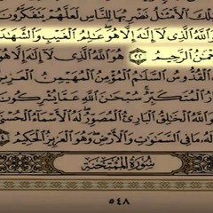 ما تيسر من سورة الحشر القارئ السيد متولي