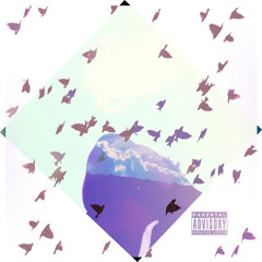 Moods [Visuals is the buy link]