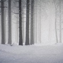 TRAPPIN OUT THE CIVIC