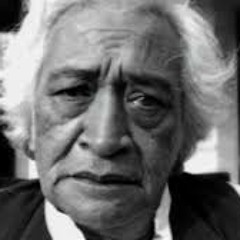 Trinity Roots - The Little Things (Subjective Housefire)