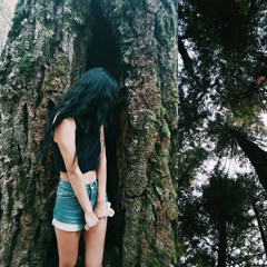 SodiumLaurethSoulfate