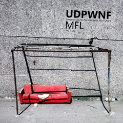 UDPWNF - PA (Noise Remix)