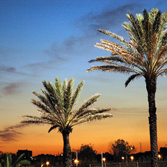 I Cant Feel My Face - The Weeknd (Cover)