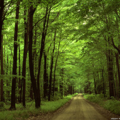 Justin Bieber Performing “What Do You Mean” At The VMAs 2015! IN LIVE Performing  Live Performance