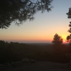 Jake Lake - No moon but a fire