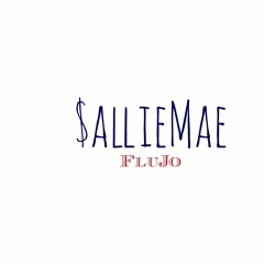 Sallie Mae [Prod. By FluJo]