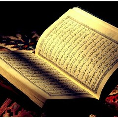 محمد ايوب سورة الحجرات