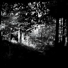 As You Were (Ft Louise Lovedust)