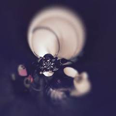 Metrolehdenjakaja [Phonix Haze mix]