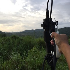 The morning of Nam Chung, Hong Kong (Cricket 蟋蟀, Cicadidae 蟬, Birds 鳥) 大埔 南涌