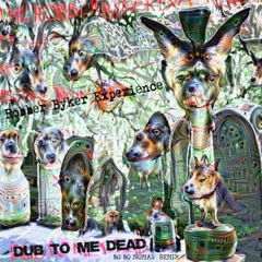 The Robber Byker Experience VS Bo Bo Nomad - Dub To Me Dead