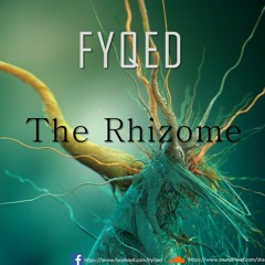 The Rhizome