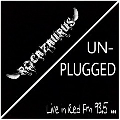 Punk (Acoustic Live At Red Fm)