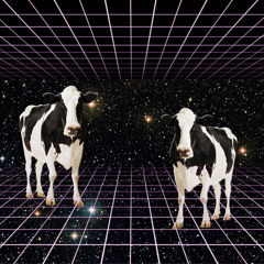The Naughty Space Cows