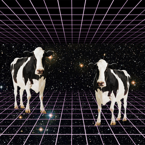 The Naughty Space Cows