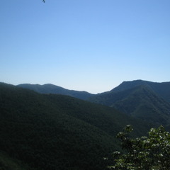 高野山 Koyasan