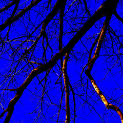 Anesthesia (cover of Type O Negative song)