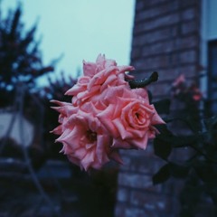 Ed Sheeran - Photograph (Acoustic Version)