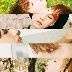 [ENGLISH ACAPELLA] BTS - Hold Me Tight Ballad Version