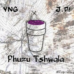 YnG and Jay dee Phuzu tshwala Show Me Remix