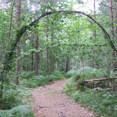 Island of BU (Buøya)