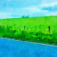 For Those We Left Behind