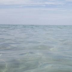 what love sounds like