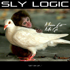 Never Let Me Go (Original Mix)