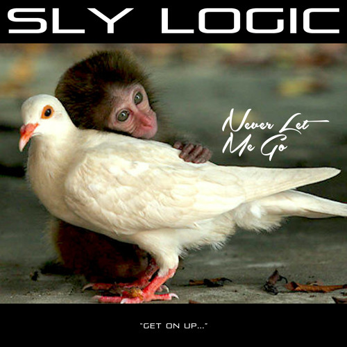Never Let Me Go (Original Mix)