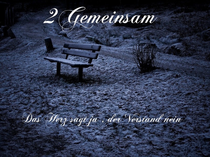 Das Herz Sagt Ja , Der Verstand Nein Listen & download for free on