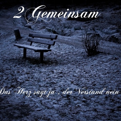 Stream Das Herz Sagt Ja , Der Verstand Nein by 2Gemeinsam(Official