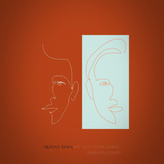 Skinny Days - We Got Something (BAKOTA Remix)