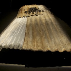 'Fusion of tongues' excerpt