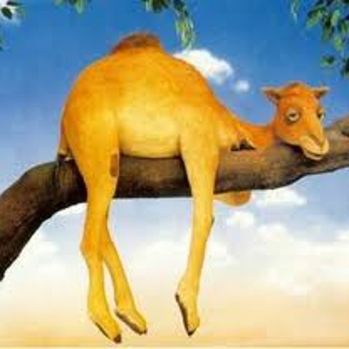 UN TOQUE DE POLEN- zurdo