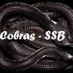 Cobras(prod.Camgohits) - SSB