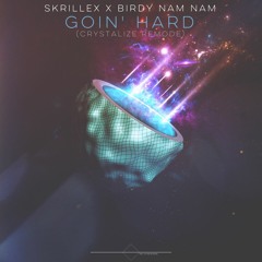 Skrillex X Birdy Nam Nam - Goin' Hard (Crystalize Remix)