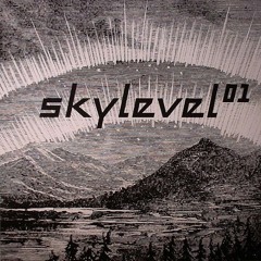 A.  55 (Skylevel Edit)