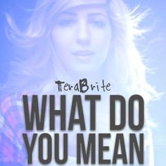 What Do You Mean - Justin Bieber(Pop Punk Cover by TeraBrite)