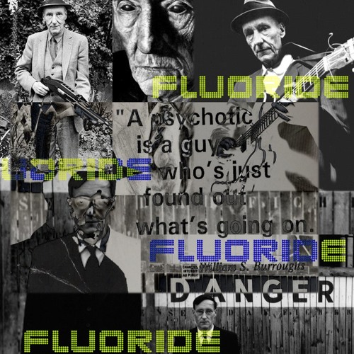 William S. Burroughs - TonePoem - Fluoride by @Poeticise [DL links in Description]