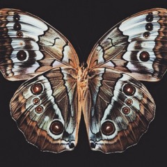 Santé ft. Lorenzo Hall - Homegirl (Original Mix).mp3