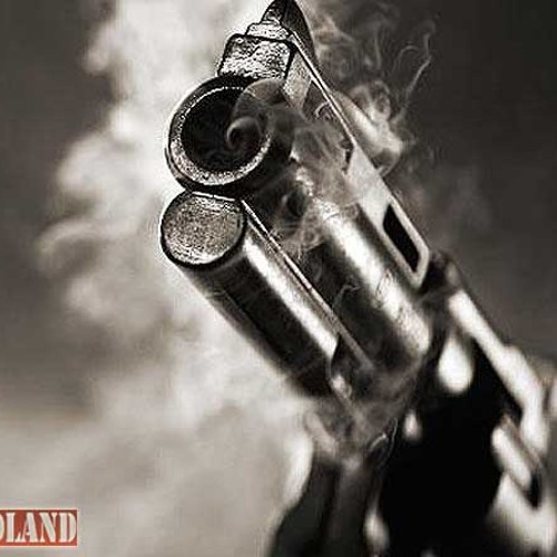 Luger (Caps, Shadow of Mankind, LmB)