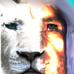 Like A Heart Beat Drives You Mad - 432 by Stoney ole