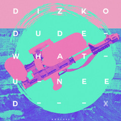 Dizkodude - What U Need (Original Mix)