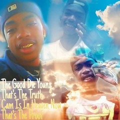 T - Weezy - 100 Witcha (R.I.P Cam Tee)