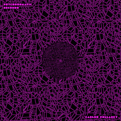 Carlos Pollarky – Interference