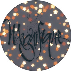 Zakir - Magnifique (August 2015)