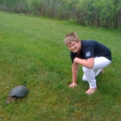 rough draft untitled