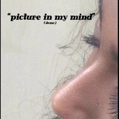 picture in my mind (demo)