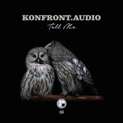 Konfront.Audio ft. LaMeduza - In This World (Soul Deep Exclusives)