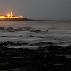 Forecast: Audio Interviews (Assemblage)